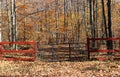 Gate Entering Woods in Fall