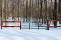 Gate Entering Woods in Winter