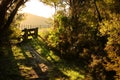 Gate entry to walking track beside metalled rural road with baton and wire fence, Mahia Peninsula, North Island, New Zealand Royalty Free Stock Photo