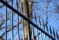 Gate and fence at the castle in the autumn sun. the lattice ending the end of the wall protected thieves from improper intruders. Royalty Free Stock Photo