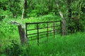 Gate, forest clearing, disused. Royalty Free Stock Photo