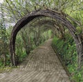 the gate in the garden depicting a door to another dimension Royalty Free Stock Photo