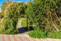 A gate in a garden with a path leading through it Royalty Free Stock Photo