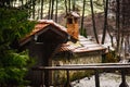 Gate of an old house with a tiled roof with a brick pipe Royalty Free Stock Photo