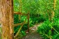 Gate and path in the forest Royalty Free Stock Photo