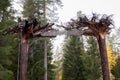 The gate to the park. A gate made of inverted trees. Roots. Entrance to the national park.