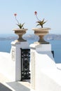 The gate to the sea with two vases with flowers. Greece