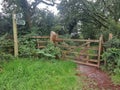 A Gate to a Woodland path though a ancient thoroughfare Devon uk