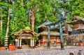 Gate of Toshogu shrine in Nikko Royalty Free Stock Photo