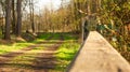 Gate Windsor Great Park, North Ascot, United Kingdom. Gate in the forest