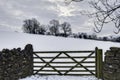 Gate in wintry countryside