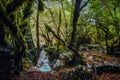 Gate of the wishes in Mrtvica river canyon in montenegro Royalty Free Stock Photo