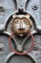 Gates of Cathedral of San Marco Royalty Free Stock Photo