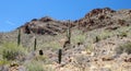 Gates Pass Tucson Arizona Saguaro Cactus