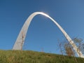 Gateway Arch with a Tree and Bird`s Nest in the Foreground Royalty Free Stock Photo