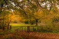 Gateway in an autumnal woodland Royalty Free Stock Photo