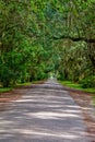 Gateway Oaks Royalty Free Stock Photo