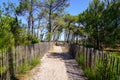 Gateway to sea beach scenic dunes protect by fence on bright summer day in lacanau ocean atlantique France Royalty Free Stock Photo