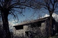 Old house, old trees, old story Royalty Free Stock Photo