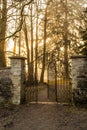 Gateway to the woods Sun Royalty Free Stock Photo