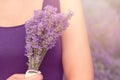 Gathering a bouquet of lavender. Beautiful girl holding a bouquet of fresh lavender in lavender field. Sun, sun haze, glare. Royalty Free Stock Photo