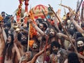 Gathering of naga sadhus celebrates before bathing in Ganges at the Kumbh Mela 2019 in Allahabad, India
