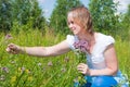 Gathering oregano