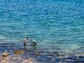 Gathering oysters and mussels at low tide. Sea delicacies.