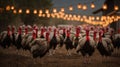 Many Turkeys with Red Ribbons Standing in a Row Underneath String Lights at Night Royalty Free Stock Photo