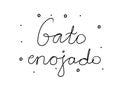 Gato enojado phrase handwritten with a calligraphy brush. Angry cat in spanish. Modern brush calligraphy. Isolated word black