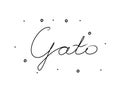 Gato phrase handwritten with a calligraphy brush. Cat in spanish. Modern brush calligraphy. Isolated word black