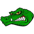 Gator Mascot Royalty Free Stock Photo