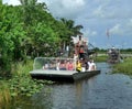 Gator park Royalty Free Stock Photo