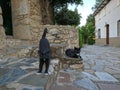 Gatos negros Royalty Free Stock Photo