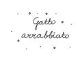 Gatto arrabbiato phrase handwritten with a calligraphy brush. Angry cat in italian. Modern brush calligraphy. Isolated word black