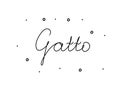 Gatto phrase handwritten with a calligraphy brush. Cat in italian. Modern brush calligraphy. Isolated word black