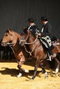 Gaucho couple riding on creole horses wearing a traditional outfit Royalty Free Stock Photo