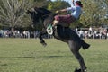 gaucho- cowboy-riding wild horse jumping jumping in a rodeo in argentina patron saint festival similar to uruguay chile-oct 2020
