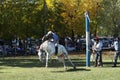 gaucho- cowboy-riding wild horse jumping jumping in a rodeo in argentina patron saint festival similar to uruguay chile-oct 2020