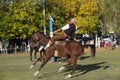 Gaucho cowboy Vaquero at a rodeo riding a horse at a show in Argentina