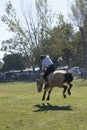 Gaucho cowboy Vaquero at a rodeo riding a horse at a show in Argentina