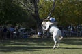 Gaucho cowboy Vaquero at a rodeo riding a horse at a show in Argentina