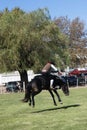 Gaucho cowboy Vaquero at a rodeo riding a horse at a show in Argentina