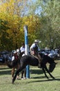 Gaucho cowboy Vaquero at a rodeo riding a horse at a show in Argentina Royalty Free Stock Photo