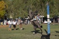 Gaucho cowboy Vaquero at a rodeo riding a horse at a show in Argentina