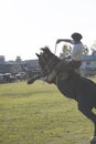 Gaucho cowboy Vaquero at a rodeo riding a horse at a show in Argentina