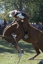 Gaucho cowboy Vaquero at a rodeo riding a horse at a show in Argentina Royalty Free Stock Photo