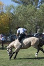 Gaucho cowboy Vaquero at a rodeo riding a horse at a show in Argentina Royalty Free Stock Photo