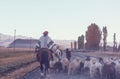 Gaucho Royalty Free Stock Photo