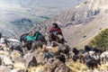 Gaucho herding animals (goats, cows and horses) in the Andes mountain range. Argentina Royalty Free Stock Photo